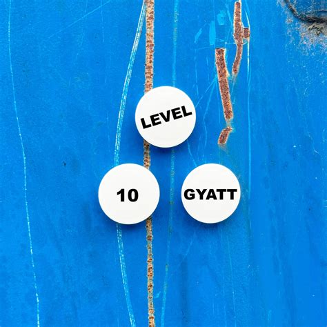Level 10 Gyatt Magneter Køb Dem Online Nu