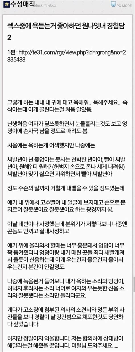 섹스 중에 욕 듣는 거 좋아하던 원나잇녀 경험담