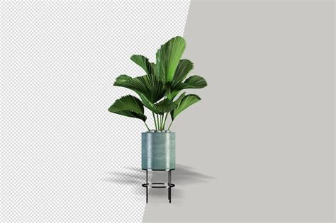 Flores em vasos de plantas em renderização 3d isoladas PSD Premium