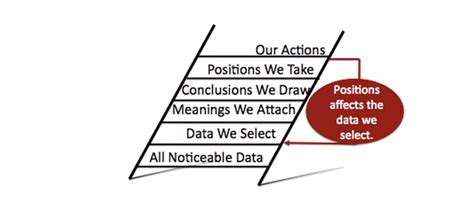 The Curious Mindset — Letterman White Consulting