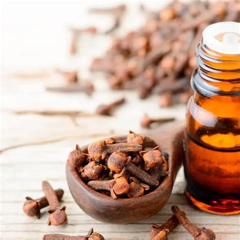 Clove Oil: The Ultimate Dental Care Essential