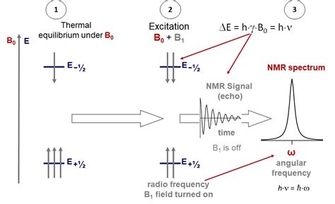 52 Basic Nmr Excite Record Experiment And Related Spectrum