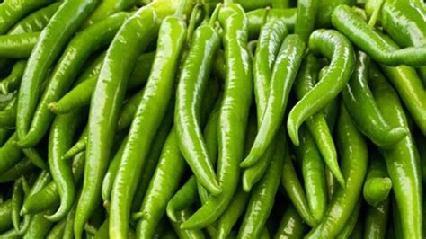 Green Chilli Benefits वाढलेला Bp ते या आजारांवर प्रभावी ठरते लवंगी