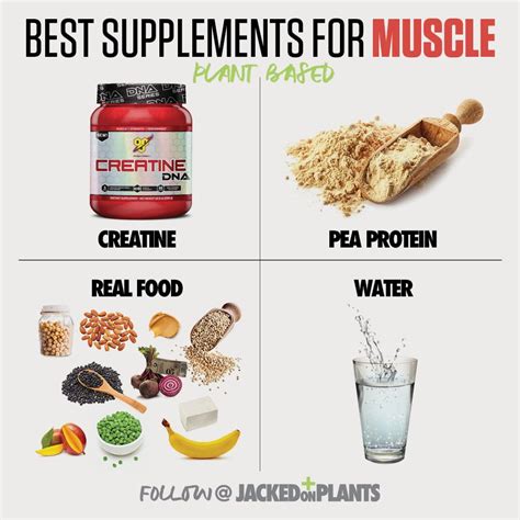 Plant Based Bodybuilding Macros For Hardgainers Bodybuilding Macros