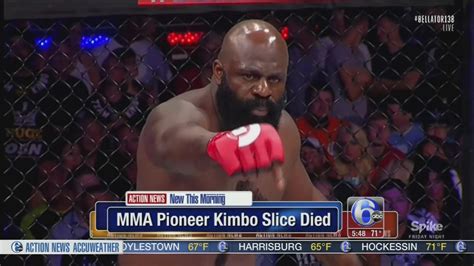 Kimbo Slice Street Fights Knockouts