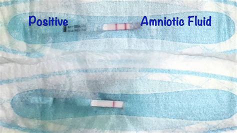 A New Self Test For Amniotic Fluid Leakage Youtube