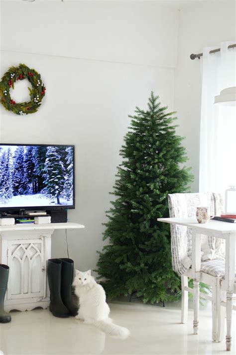 Premium Christmas Trees And Where To Order Them From