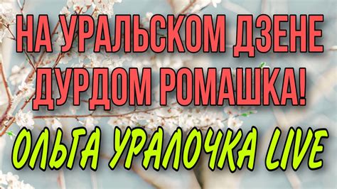 НА УРАЛЬСКОМ ДЗЕНЕ ДУРДОМ РОМАШКА. ОЛЬГА УРАЛОЧКА LIVE. - YouTube