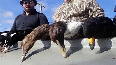 Eider Sea Duck Hunting VLOG 013 December 5th 2016 Jeff Coats Pitboss