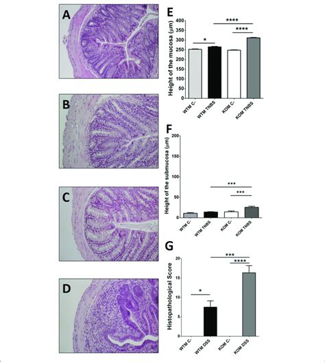 Microscopic Evaluation Of Tnbs Induced Damage In Males Histological