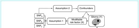 Principles Of Mendelian Randomization Mr And The Assumptions Required