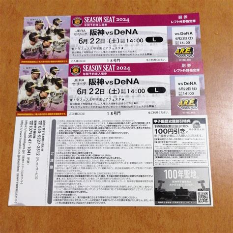 【未使用】6月22日（土） 阪神甲子園球場 阪神 Vs Dena レフト外野指定席 2枚 連番 トラフェス 入場者プレゼントデーの落札情報詳細