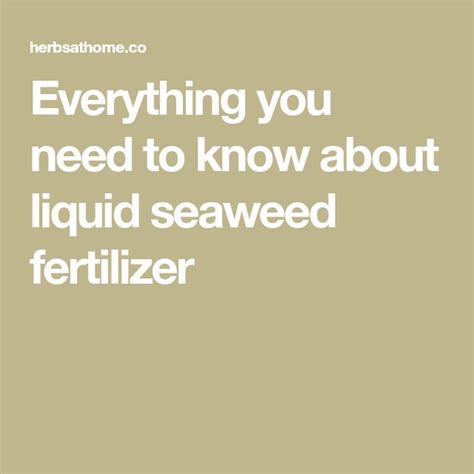 Everything You Need To Know About Liquid Seaweed Fertilizer