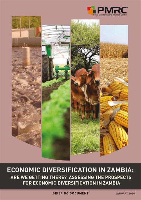 Economic Diversification In Zambia Are We Getting There Assessing