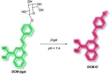 Fluorescent Small Organic Probes For Biosensing Chemical Science Rsc