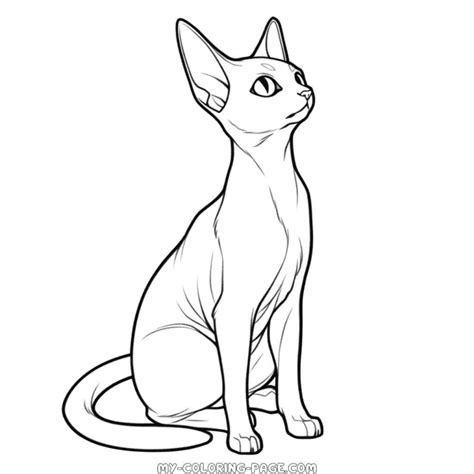 Sitting Siamese Cat coloring page | My Coloring Page