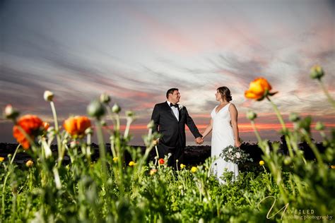 Carlsbad Flower Fields | San Diego | Caitlin and Kyle's Wedding ...