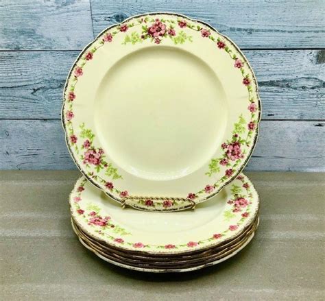 S Set Of Dinner Plates Vintage Alfred Meakin Royal Marigold