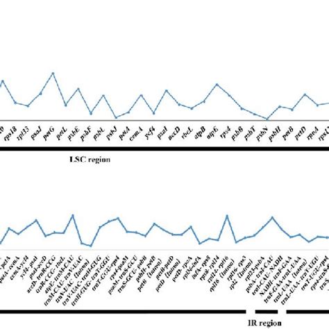 Pdf Comparative Plastid Genomics Of Pinus Species Insights Into