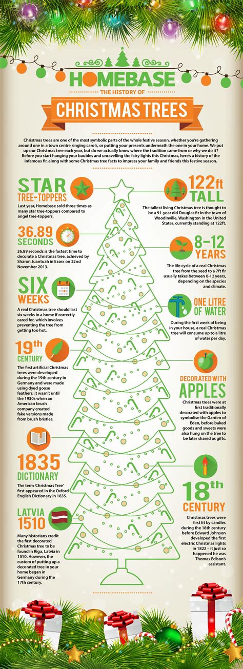 The History Of Christmas Trees Infographic Only Infographic