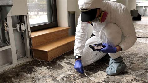 How To Get Professional Mold Testing For Your Home Macmillan