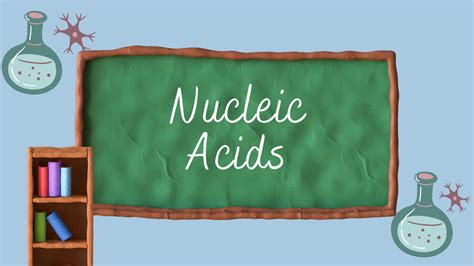 Solution Nucleic Acids Dna And Rna Nucleotide Genetic Code Types Of
