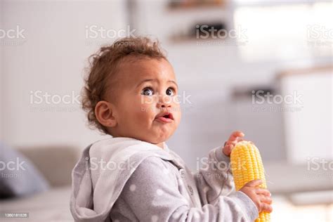 Baby Eating Corn Stock Photo Download Image Now 12 17 Months