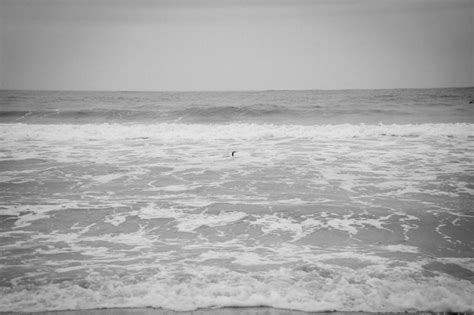 Premium Photo | Open sea