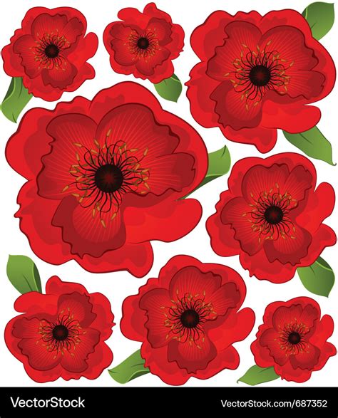 Poppies Royalty Free Vector Image Vectorstock