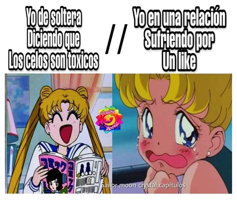 Pin De Rocio Almeida En Sailor Moon Meme De Sailor Moon Chibi Moon