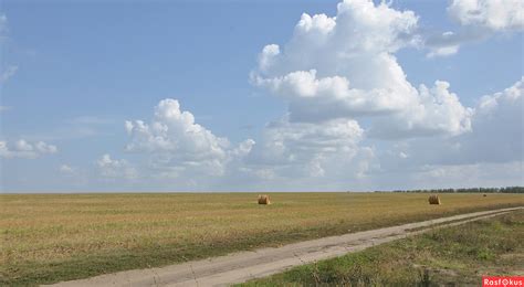 Фото: Осенние пути...небесные...земные.... Фотолюбитель nklejmenova ...