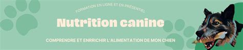 Comprendre et enrichir l alimentation de mon chien Régénère essence