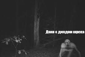 Мем: "Даня с дилдом шрека" - Все шаблоны - Meme-arsenal.com