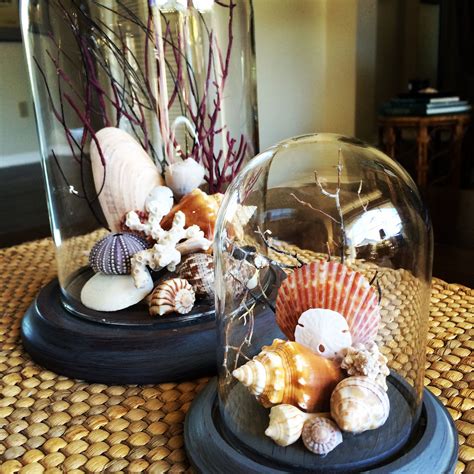 Seashell Collection Domes For Coastal Decor Self Collected Shells From