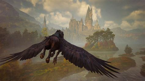 Hogwarts Legacy Black Hippogriff Caligo Free Roam Exploration 2k 60fps