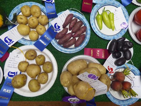 Award Winning Vegetables At The County Fair In Meadowlands Flickr