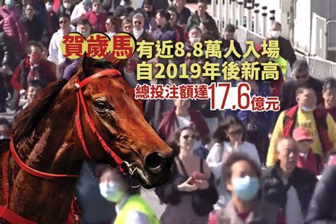 龍年首個賽馬日近8萬8千人入場 總投注額達176億元