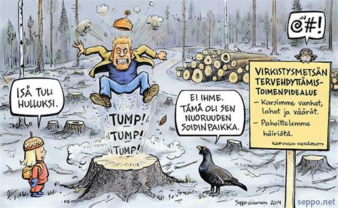 Metsät Kaupungin virkistysmetsän hakkuu Sepponet Luontokuvia ja