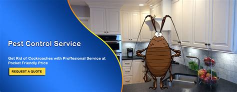 Pest Control Services In Gurgaon Off Service Mantra