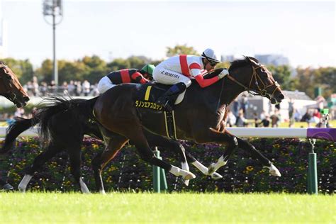 【アイビーs】ダノンエアズロックが力強く伸びて快勝！4・5億円ホース無傷2連勝 サンスポzbat