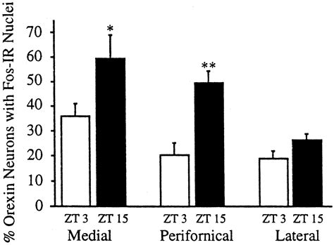 Fos Expression In Orexin Neurons Varies With Behavioral State Journal