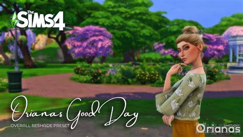 Best Sims 4 Reshade Presets Polaustralia