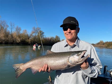 Sacramento River Fish Report Sacramento River Sacramento River King