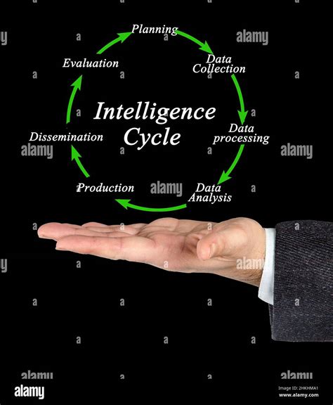 Intelligence Cycle Chart