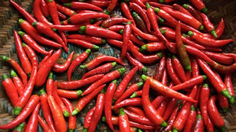 Hot Chillies Stock Photo Image Of Taste Vegetable Chilli