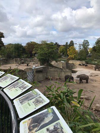 Koelner Zoo (Cologne) - 2019 All You Need to Know BEFORE You Go (with Photos) - TripAdvisor