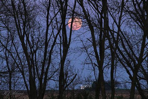 Waxing Gibbous Pink Supermoon 2 Photograph By Simply Moonstruck Fine