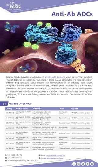 Anti Antibody Adcs Pdf