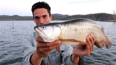 Fishing Australia Bass Barra Cod Youtube