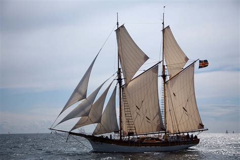 Filealbanus Schooner Wikimedia Commons